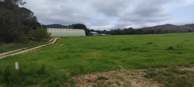 Masía histórica para rehabilitar con 19 hectáreas de terreno – Tossa de Mar — 25