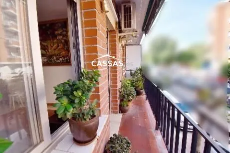 ZONA CENTRO- Junto Plaza Mayor. 3 habitaciones con terraza. 1º planta sin ascensor. — 31