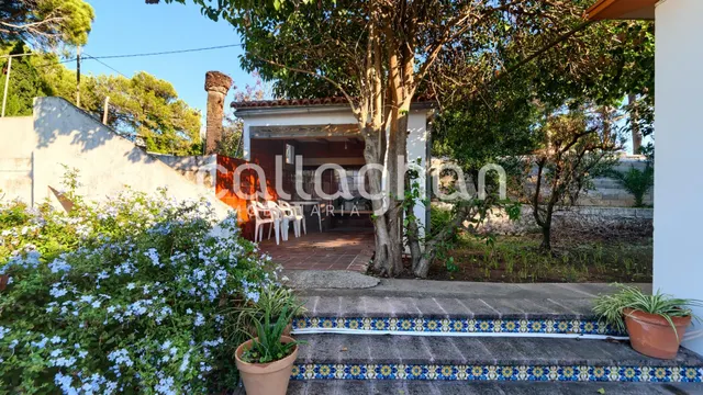 Chalet independiente en una parcela de 2.830 m2 - foto 3