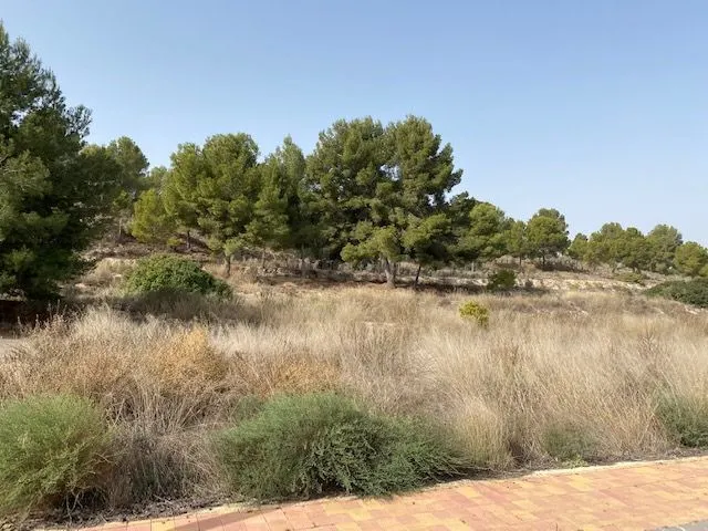 Venta de 5 Suelos Urbanos Residenciales en Urbanización TORR - foto 5