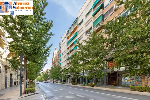 Local 377 m2 en Gran Vía – Centro Granada — 2