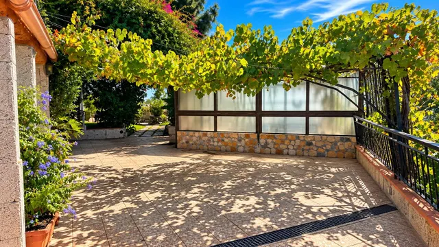 Finca exclusiva en Vilaflor · 2 viviendas, viñedo, bodega y piscina — 37