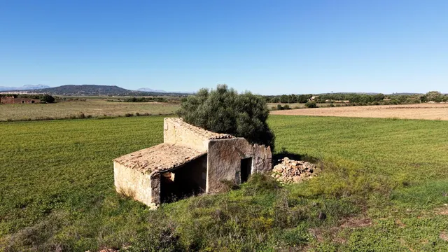 Finca rústica en Manacor con proyecto de ejecución — 2