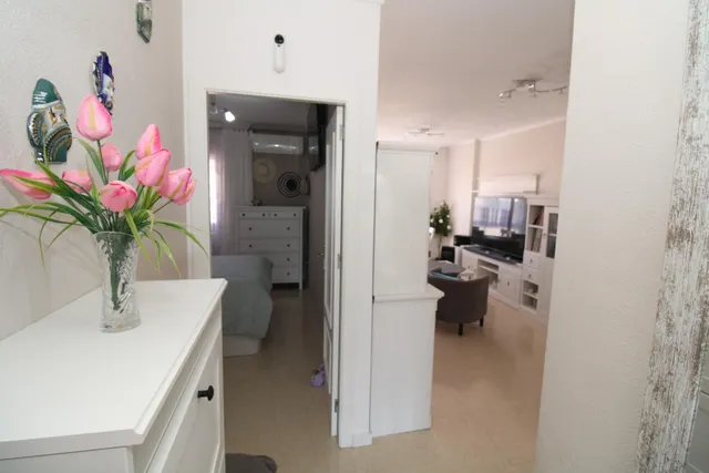 Apartamento San Pedro CENTRO — 24