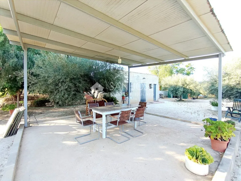 VENTA DE PARCELA ENTRE LA ROMANA Y ASPE