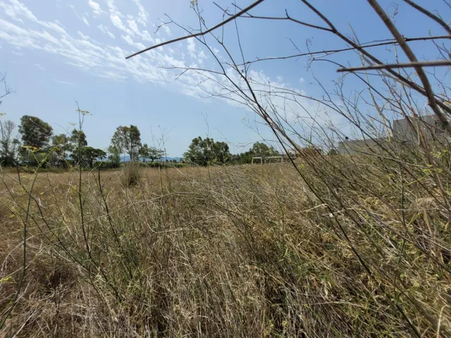 Terreno edificable con proyecto y permiso de obra vigente en Sant Esteve Sesrovires — 17
