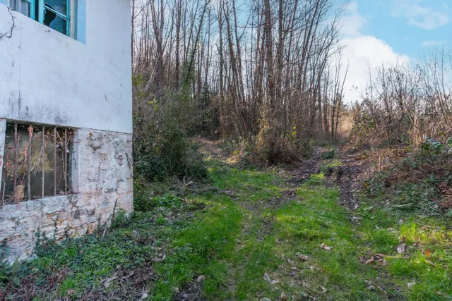 Oportunidad real: casa con parcela para rehabilitar en Tineo — 19