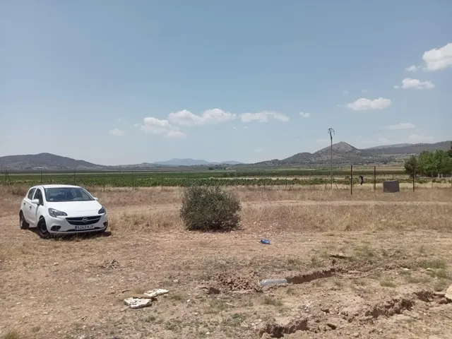 Campo en monovar — 12
