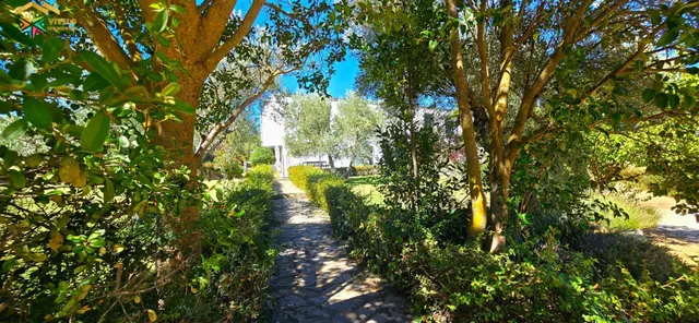 LUXURY HOME EN RONDA EN FINCA DE 10.571 M2 — 11
