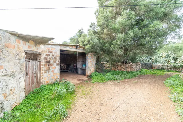 Magnifica finca rústica en la zona de Porreres. — 18