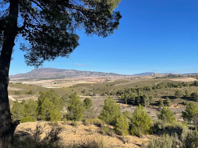 Parcela en venta - Jumilla
