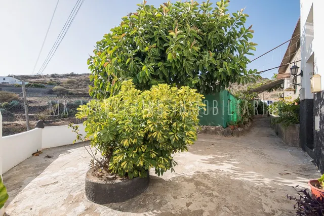 Casa de campo con terreno en La Breña, Telde. - foto 5