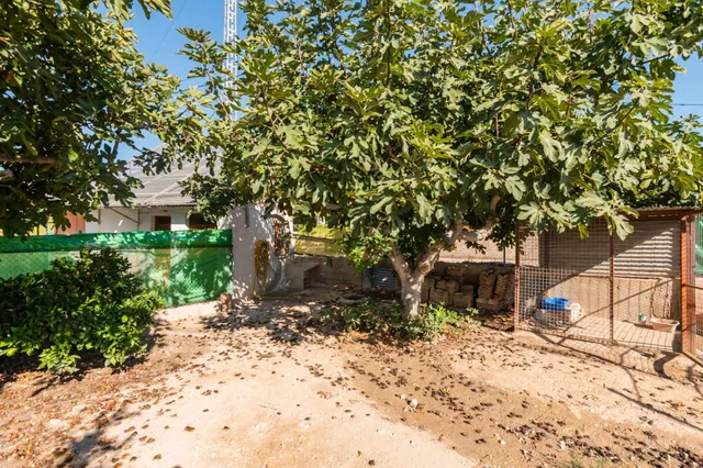 Finca rústica 4.180m2 de parcela con casa y piscina en las peñas (Fortuna) — 40