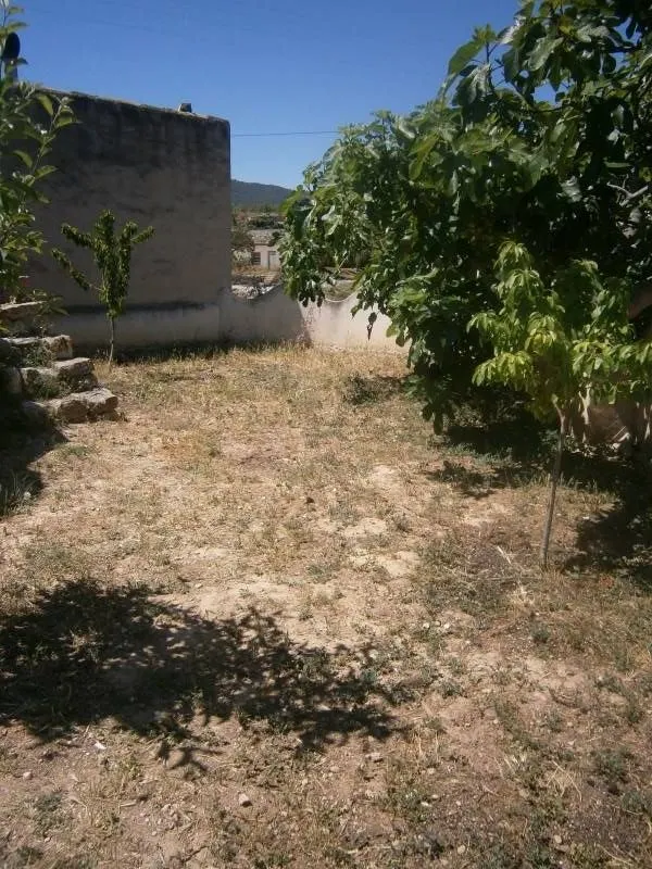 CASA CUEVA EN MONOVAR — 13