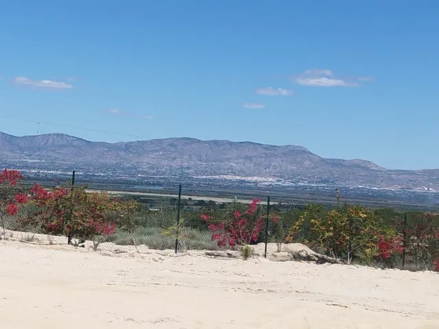 Terreno rústico para proyecto en San Fulgencio (Comunidad Va
