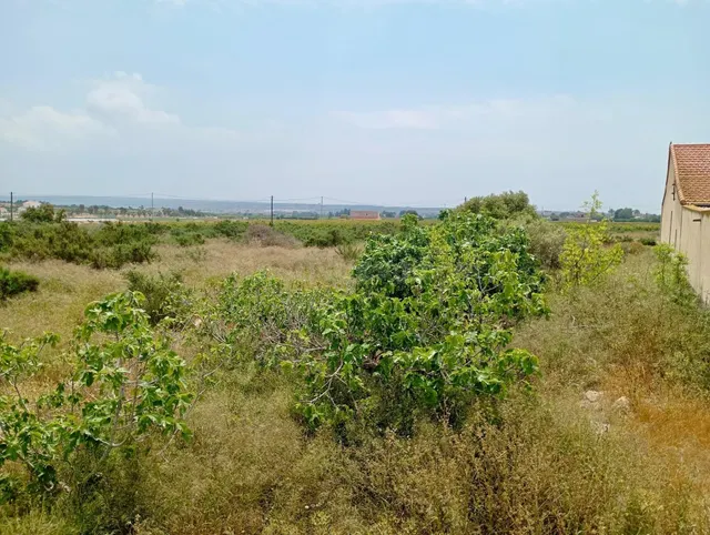 Terreno agrario con casa tipo albergue - foto 4