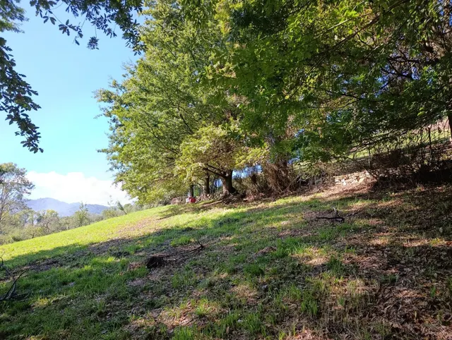 Terreno urbano en venta - Trubia — 28