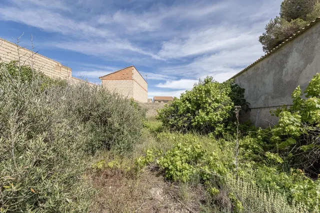 ESTUPENDO SOLAR URBANO CON NAVE EN PEDRO MARTÍNEZ — 14