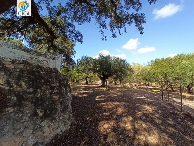 CASA CON PARCELA  EN LA SIERRA DE CADIZ -EL BOSQUE — 35