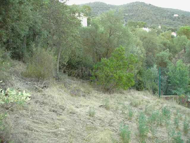 Parcela de 941 m2 en la Urbanización Sant Miquel d'Aro - foto 5