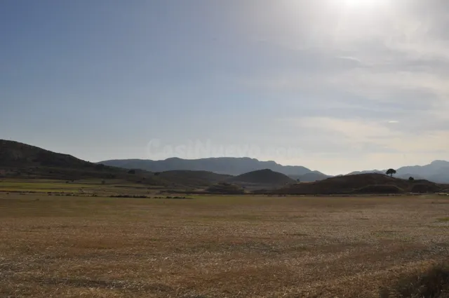 Parcela 2000m² en venta - Torre del rico - foto 4