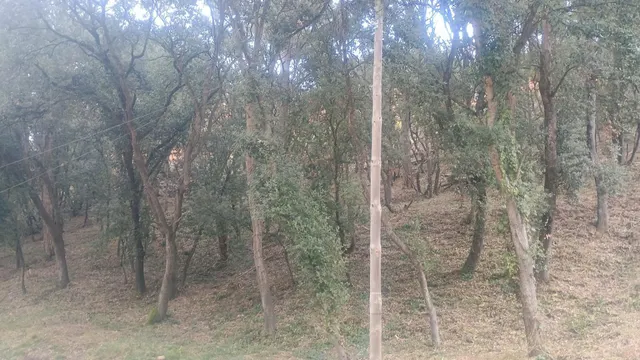 SOLAR URBANO TURÍSTICO EN BEGUR-GIRONA — 31