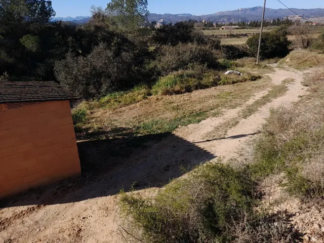 FINCA DE REGADIO DE 1,,2 HAS.CON POZO, BALSA Y ALMACEN DE HE - foto 2