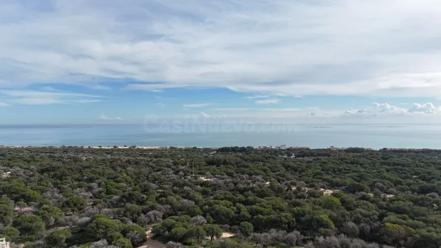 Parcela en venta - El Edén - Los Estaños - foto 2