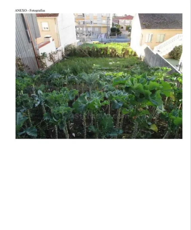 Solar 337m² en venta - Raxó - foto 3
