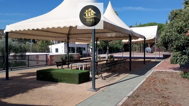 FINCA EN LINARES - foto 4
