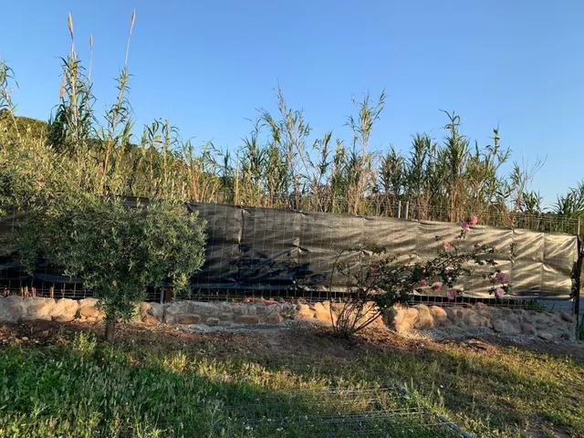 Finca rústica con construcción, agua y 1.875 m2 a pocos minutos de Sagunto — 3