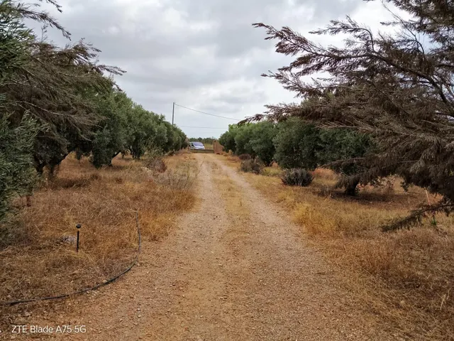 Finca rústica 4 habitaciones 230m² en venta - La Magdalena — 3