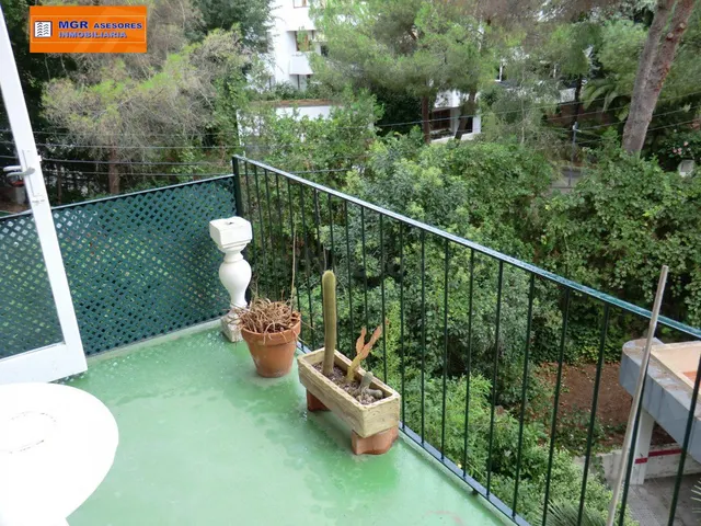 BONITO Y COMODO PISO EN ZONA TRANQUILA DE SON ARMADAMS!!! - foto 4
