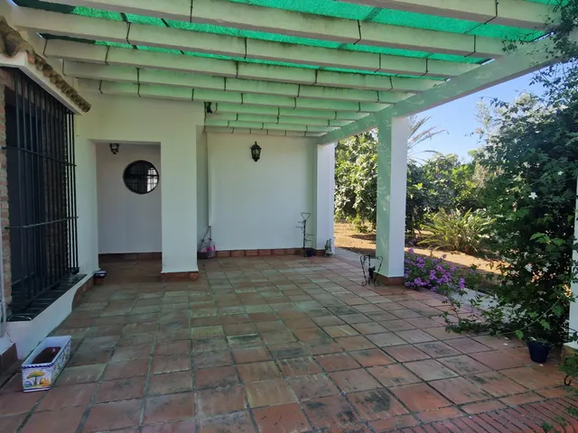 Finca rústica con dos viviendas, piscina y 56.000 m2 de tierras de regadío a 10 minutos de Jerez — 7