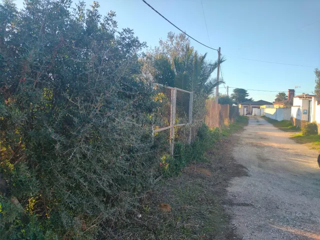 ¡OPORTUNIDAD ÚNICA! 🌳PARCELA SEGREGADA DE 960M2 EN LA ZONA D - foto 5