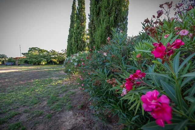 Vive en el campo con todas las comodidades de la ciudad — 39