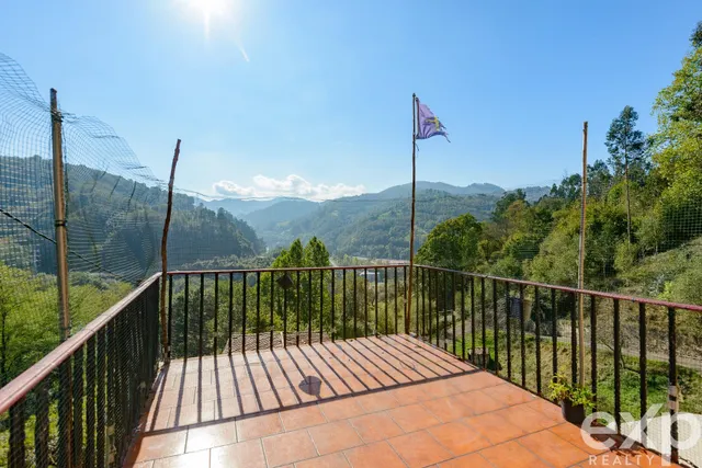 CASA CON FINCA DE 4.749 M2, COCHERA Y GRANERO EN SAN MARTÍN  - foto 5