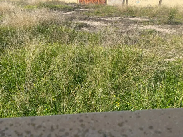 Exclusiva Parcela de 250 metros en La Torreta, Elche — 10