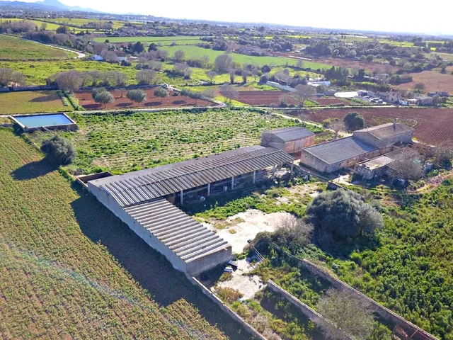Casa de campo-Masía en Venta en Manacor Baleares - foto 5