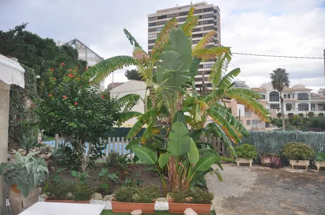 BONITO CHALET en PLAYA PONIENTE — 10