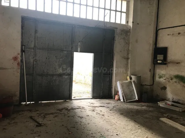 Vistamar Galicia comercializa LOCAL en el puerto de Aguiño - foto 5