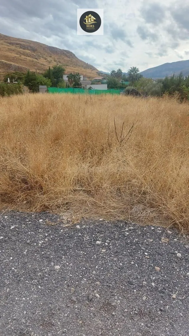 PARCELA EN PUENTE TABLAS - foto 3