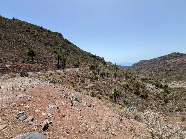 Finca rústica protegida de 31.591 m2 en Vegaipala – La Gomer