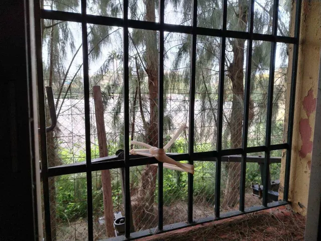 ESPACIOSA CASA UNIFAMILIAR EN LA BAJADILLA — 11
