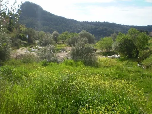 Se vende solar en Galilea con proyecto para vivienda - foto 3