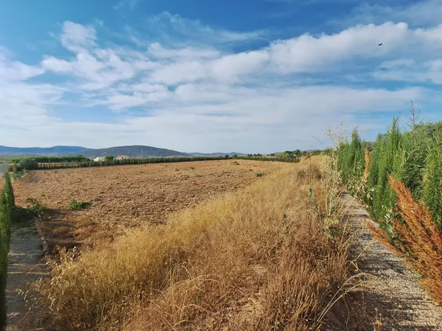 ¡Parcela edificable de 16964 m2, vallada, con agua de riego y muy buen acceso, a solo 5 minutos de Pinoso! — 7