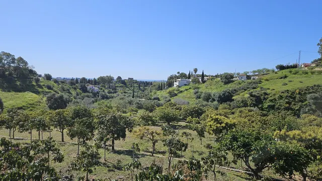Finca rústica de 8000 m² con huerta y casa de aperos en Mija - foto 2