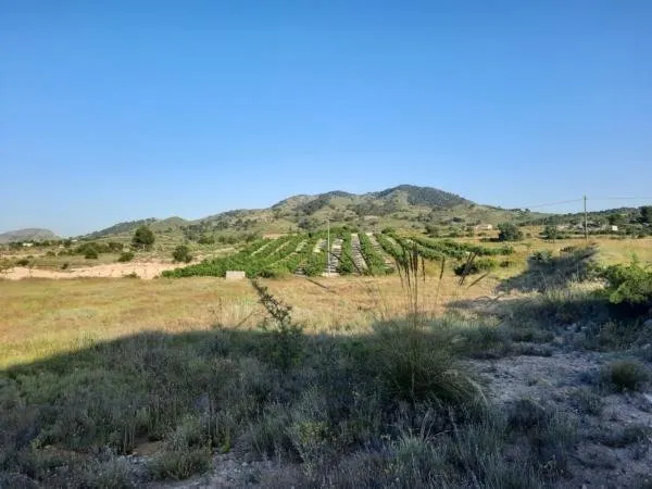 Terreno en la Alquebla — 5