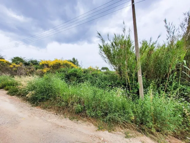 Terreno rústico de 10.735 m2 en Castellbisbal zona Can Nicolau de Dalt. — 23