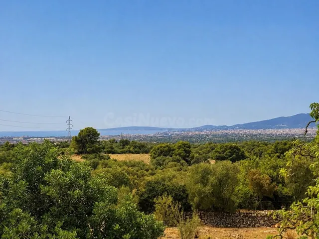Finca mallorquina con más de 6.000 m² en Pòrtol — 6
